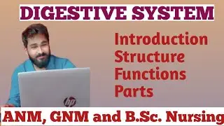 #digestivesystem #digestiveprocess #smallintestine suscus intericus GIT SDC