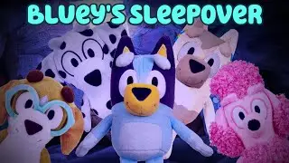 Bluey Plush Series - Bluey's Sleepover