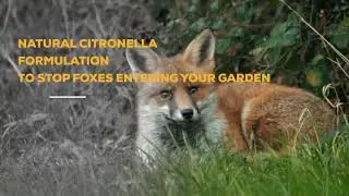 Karlsten Fox Repellent Granules Natural Effective Anti Fouling and Digging Deterrent