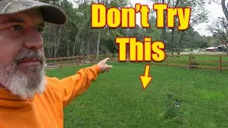 Planting Grass Seed - Mixing Types of Grass Seed