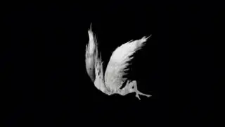 Guap Sensei - wings (sped up)