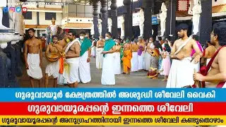 ഗുരുവായൂർ ക്ഷേത്രത്തിലെ ശീവേലിയും പ്രഭാത കാഴ്ച്ചകളും |29/05/2024 | Guruvayur Temple Morning Shiveli