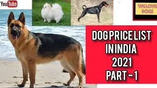 DOG PRICE LIST 2021 || PART - 1 || WE LOVE DOGS