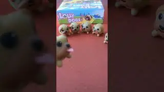 Lolly dogs un jeu pour les enfants,a partir de 4 ans mais id&eacute;al en famille.
