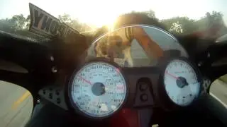 zx14 110mph wheelie