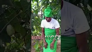 God bless Nigeria