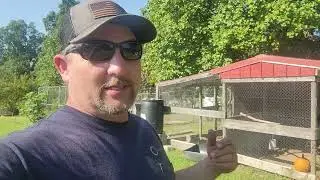 CHICKEN WATER SYSTEM