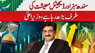 Sindh is moving towards a green and digital economy, Chief Minister
