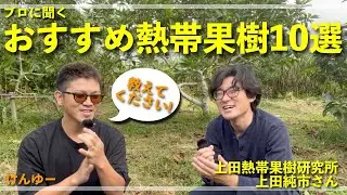 【大注目！】おすすめ熱帯果樹１０選！上田熱帯果樹研究所の純市さんに聞いてみた！