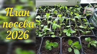 План посева семян на 2026 год