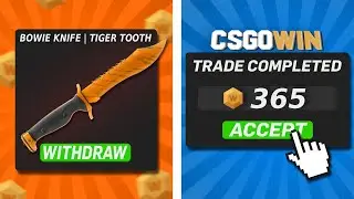 Testing our LUCK on CSGOWIN!