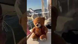 Teddy bear overboard!! #teddybear #family #overboard #sailing