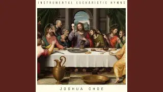Ave verum corpus, S. 461a (Arr. for String Orchestra)