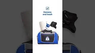 Pack a Pet Emergency Kit
