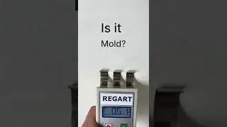 Is it mold? | ARTEM REGART mold detection #humility #mold #mould #homeinspection