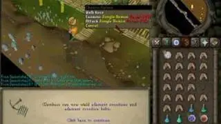 Killing the jungle demon in monkey madness!