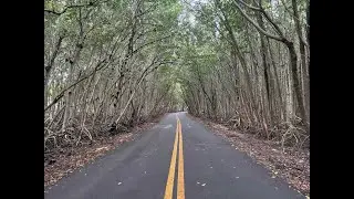 Relaxing Bike Ride Through Pinecrest | Woods to the Beach 🌲🌊