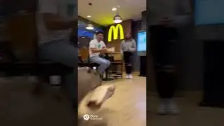 Capybara qui vole du macdo 
