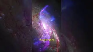 Is the Canis Major Dwarf Galaxy our closest neighbour?- INFOBYTES BY THE PANVELITE