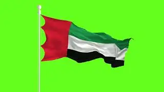 United Arab Emirates Flag Waving on a green screen free download