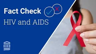 HIV and AIDS: Facts & Misconceptions You Should Know | Mass General Brigham