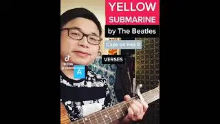 How to Play 