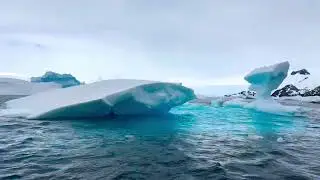 Cierva cove zodiac 9- Quark Expeditions World Explorer - Antarctica Cruise day 7