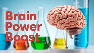 5 Essential Nootropics That Transform Your Focus and Memory #nootropics #wellness #cognitivehealth