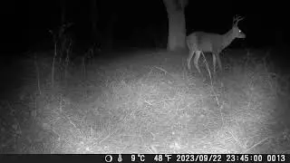 Buck9 22 23