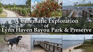 A Cinematic Exploration of Lynn Haven Bayou Park & Preserve in Florida (4K)