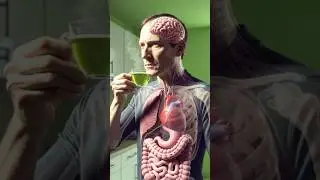 Drink Green Tea Like This to Melt Belly Fat Naturally 🍵🔥#guthealth #detoxtea  #weightloss