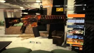 The Division P416 G3 High End Assault Rifle Review