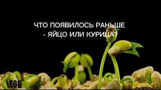 ВСЯ ПРАВДА О ЯЙЦАХ | Растительный омлет \EGGan 🌱🍳 #безлактозы #безяиц ❌🥚