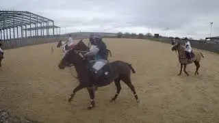 Evans Lamsley v Sworders (17 Nov 2024) - Chukka 4