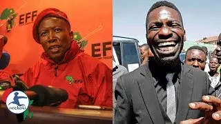 Malema Gives Hilarious Advice to Bobi Wine on How to Defeat Dictator Museveni