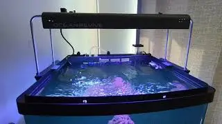 Ocean revive t247b !!!! Week 1