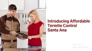 Affordable Termite Control In Santa Ana, CA
