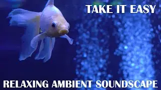 Relaxing Ambient Soundscape - Take It Easy - Aquarium Ambience - Layered Guitar Tones/Strong Delay