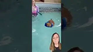 Thicken Nugget the rotund, swimming cat: UPDATE! #shorts #catshorts