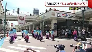 ３年ぶりに有観客で開催！”にいがた総おどり”猛暑日の中…”熱い”踊りを披露【新潟市】 (22/09/19 18:45)