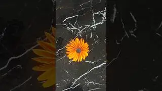 Easy paper Sunflower craft🌻🌻❤️#shorts #shortsvideo #sunflower #sunflowercraft #diy #craft #viral