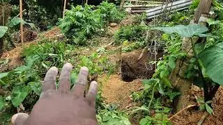 Column foot casting ✨️  day 🇯🇲  epic !