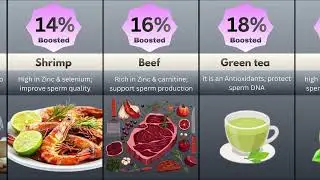 30 Foods that can boost your sperm count || Bio-science Comparison||