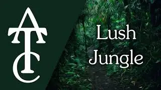 RPG Ambience - Lush Jungle (insect swarms, exotic birds, leaves rustling)