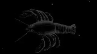 Highlights of the Night Sky - March 2014 | Astronomy Space Science Video