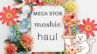 STÖRRE MOSHIE HAUL!