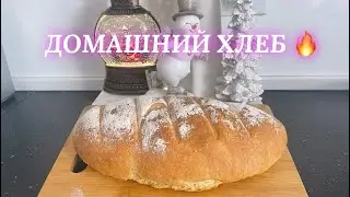 26.01.26 АКИ ПЧЁЛКА НА КУХНЕ. РЕЦЕПТ ХЛЕБА 🔥