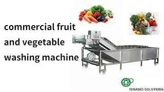 commercial fruit and vegetable washing machine，cleaning machine |Industrial  fruit clean washer