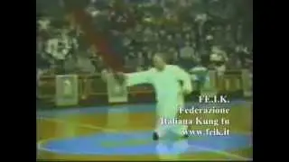 MAESTRO CHANG DSU YAO DIMOSTRAZIONI FE.I.K. FEDERAZIONE ITALIANA KUNG FU