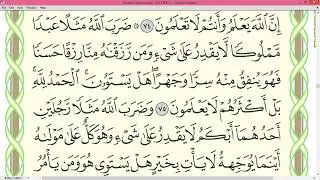 Ayman Suwayd Surah An Nahl page 275